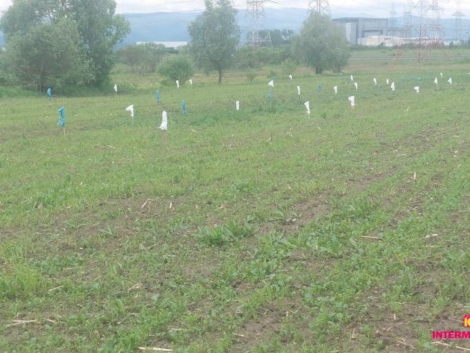 parcela de teren de vânzare zona Kuca Sibiu 470 mp