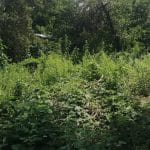 Teren Sibiu de vanzare zona Strand cu casa si curte generoasa