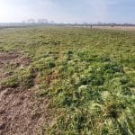 Teren de vânzare în Gușterița Sibiu - vedere panoramică asupra parcelei intravilane